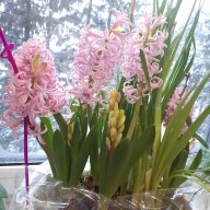 Матильда2109