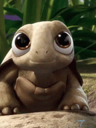 черепашка-торти